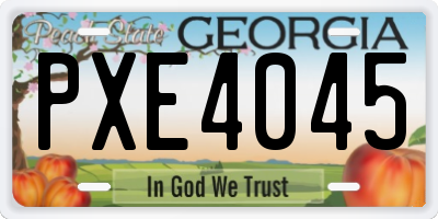 GA license plate PXE4045