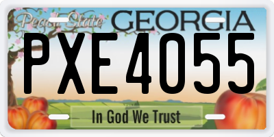 GA license plate PXE4055