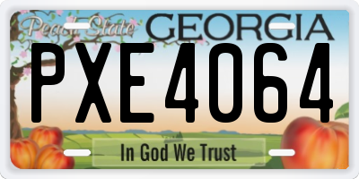 GA license plate PXE4064