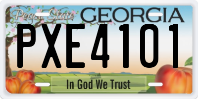 GA license plate PXE4101