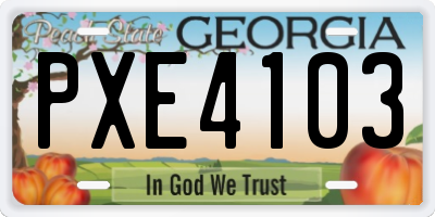 GA license plate PXE4103