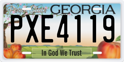 GA license plate PXE4119