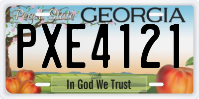 GA license plate PXE4121