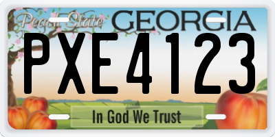 GA license plate PXE4123