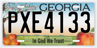 GA license plate PXE4133