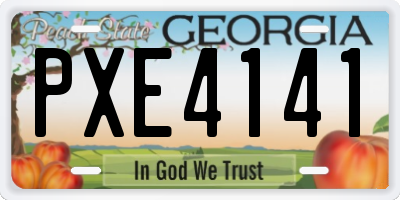 GA license plate PXE4141
