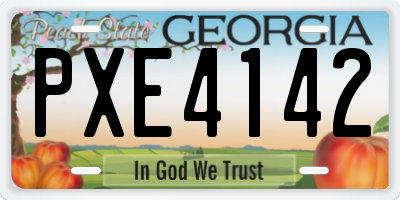 GA license plate PXE4142