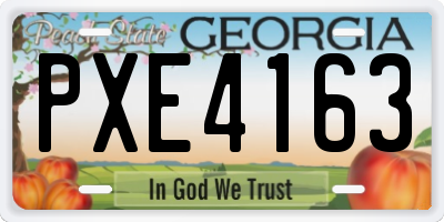 GA license plate PXE4163