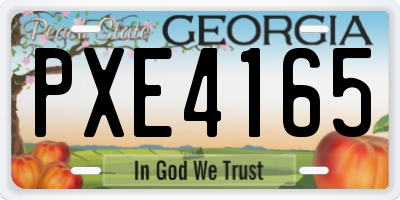 GA license plate PXE4165
