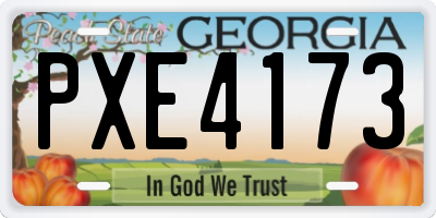 GA license plate PXE4173