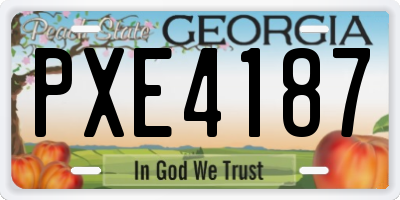 GA license plate PXE4187