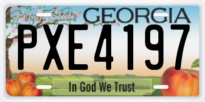GA license plate PXE4197