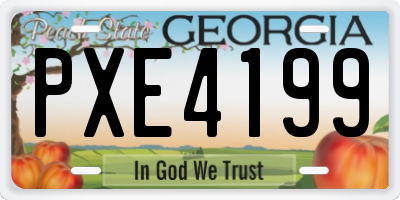 GA license plate PXE4199