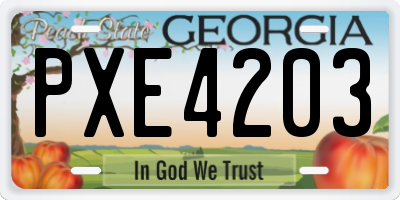 GA license plate PXE4203