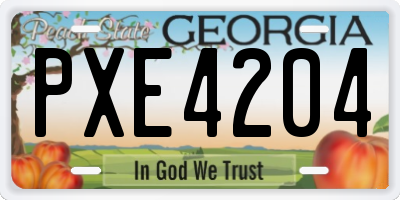 GA license plate PXE4204