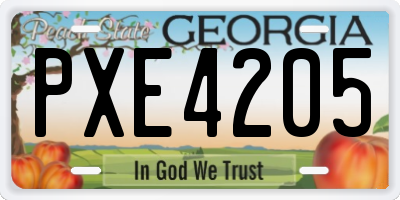 GA license plate PXE4205