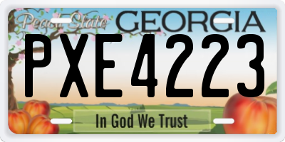 GA license plate PXE4223