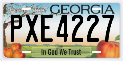 GA license plate PXE4227