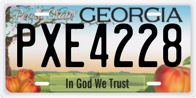 GA license plate PXE4228