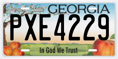 GA license plate PXE4229