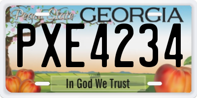 GA license plate PXE4234