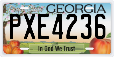 GA license plate PXE4236