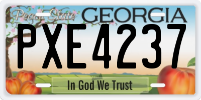 GA license plate PXE4237