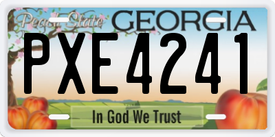 GA license plate PXE4241