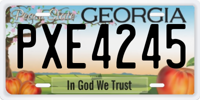 GA license plate PXE4245