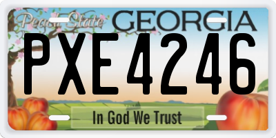 GA license plate PXE4246