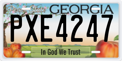 GA license plate PXE4247