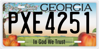 GA license plate PXE4251