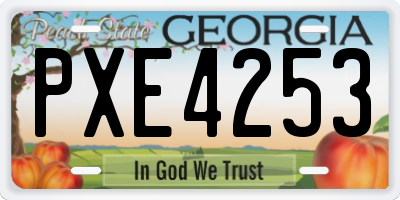 GA license plate PXE4253