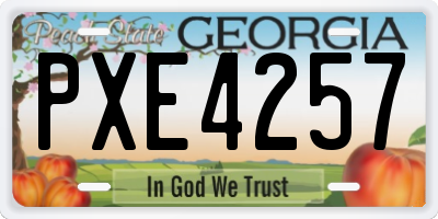 GA license plate PXE4257
