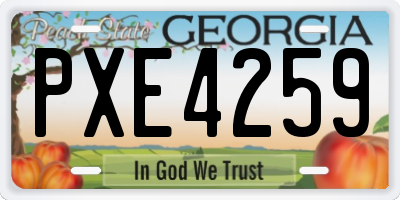 GA license plate PXE4259