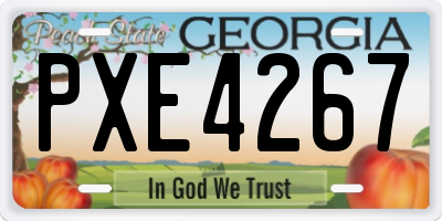 GA license plate PXE4267