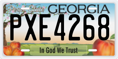 GA license plate PXE4268