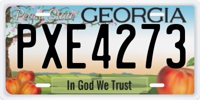 GA license plate PXE4273