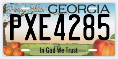 GA license plate PXE4285