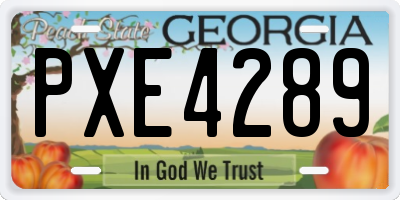 GA license plate PXE4289