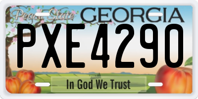 GA license plate PXE4290
