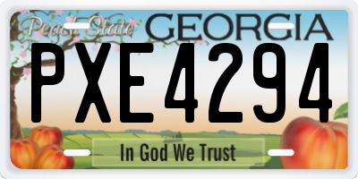 GA license plate PXE4294