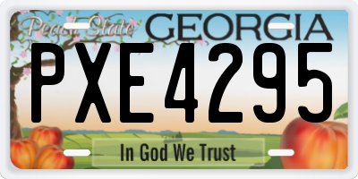 GA license plate PXE4295