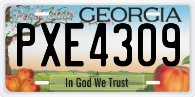 GA license plate PXE4309