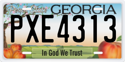 GA license plate PXE4313