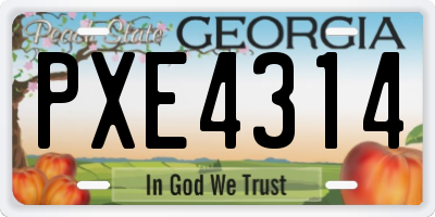 GA license plate PXE4314
