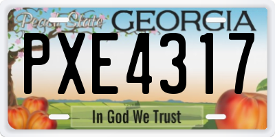 GA license plate PXE4317