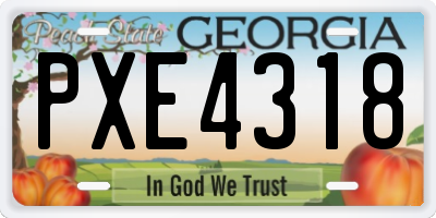 GA license plate PXE4318