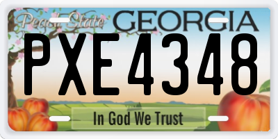 GA license plate PXE4348