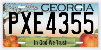 GA license plate PXE4355